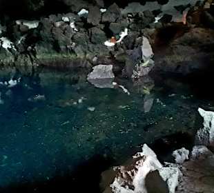 Jameos del Agua Cesar Manrique