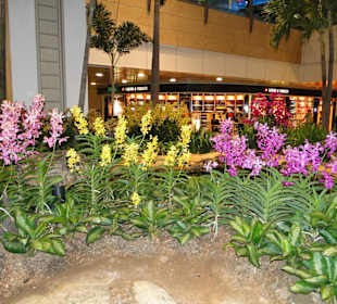 Changi airport