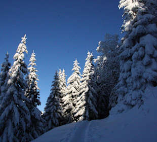 Wandern Hollenstein an der Ybbs