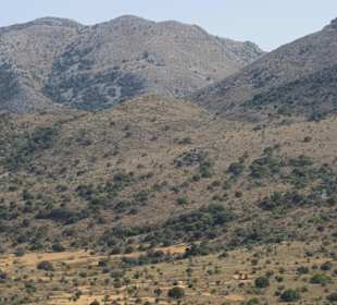 Die Berge sind toll !