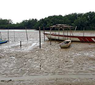 Rundgang Puerto Jeli