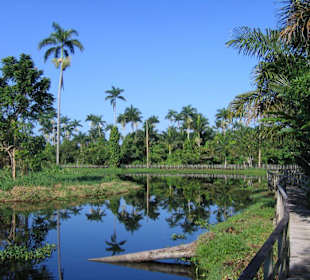 Royal Palm Reserve Negril