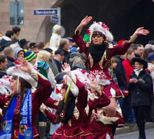 Nürnberger-Faschingsumzug 2014 