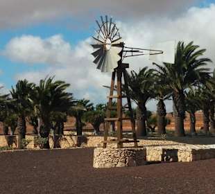 VIP Rundfahrt. Kakteen Garten