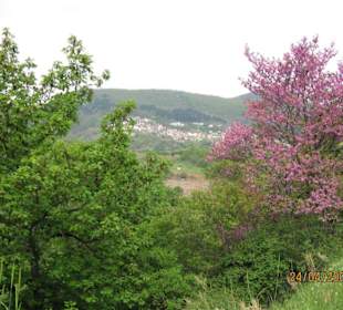 Wunderschönne Landschaft