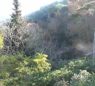 Aussenbereich - Panorama