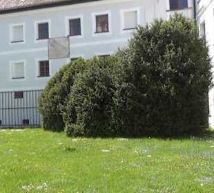 Bräuhausstock