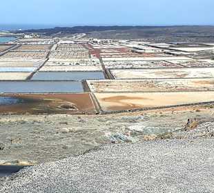 Inselrundfahrt AIDA Tagestour