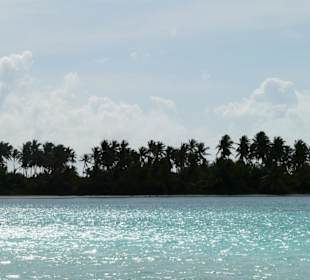 Saona