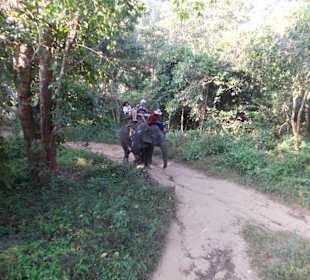 Elefantencamp Chiang Mai
