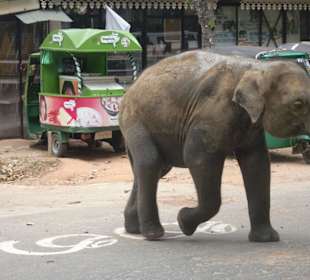 Man rennen die heute
