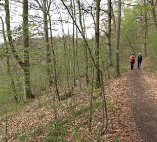 Eiszeitpfad - Burgfelsenpfad