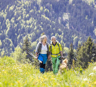 Wandern Laterns