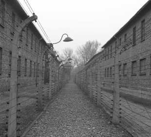 Auschwitz