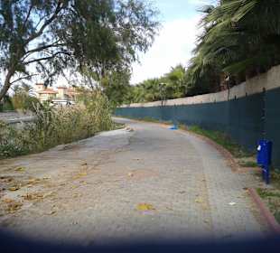 Weg vom Strand nch Kumköy