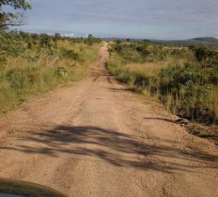 Krüger Park auf eigene Faust erleben