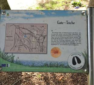 Infotafel an den Gateteichen