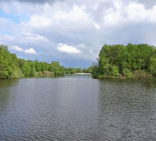 Eindrücke vom Westufer der Thülsfelder Talsperre