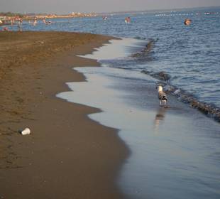 Abdenstimmung am Strand