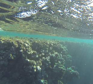 Schnorcheln Marsa Alam