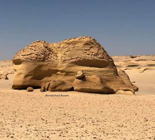 Wadi Hitan-Tal der Wale-Fayoum mit Morgenland Reis