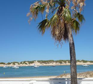 Fahrt zum Castillo de Sancti Petri