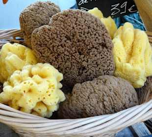 Rundgang über den Wochenmarkt von Argelès-Plage 