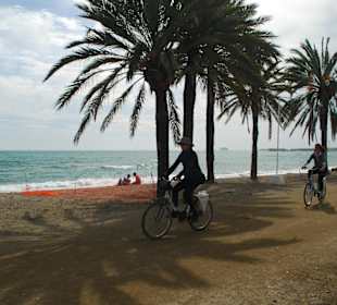 Strand von Málaga