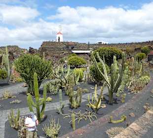 Im Garten Jardin de Cactus