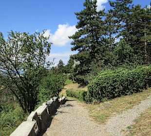 Cetatuia Park