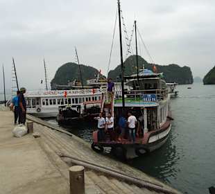 Hier kommen die Boote an