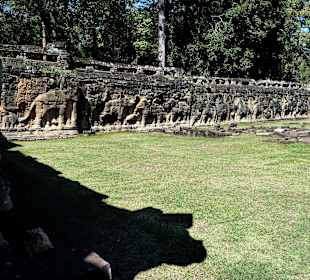 Die Elephantenterrasse