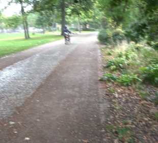 Kleiner Tiergarten