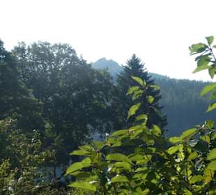 Blick zum Silberberg