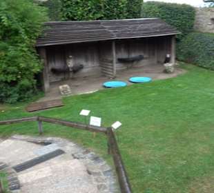Falkenhof Rosenburg