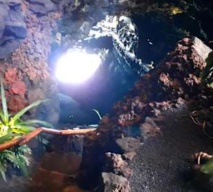 Jameos del Agua Cesar Manrique