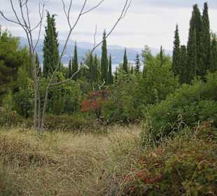Da scheint die Natur noch in Ordnung