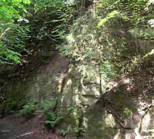 Wanderweg - Alter Steinbruch Pfaffenberg Runde