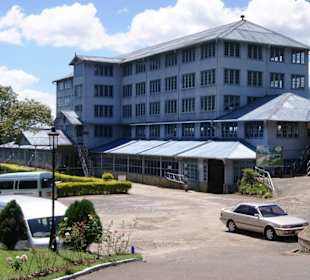 Teefabrik Blue Field