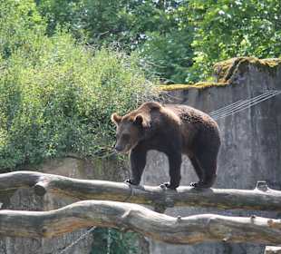 Freilichtmuseum Skansen