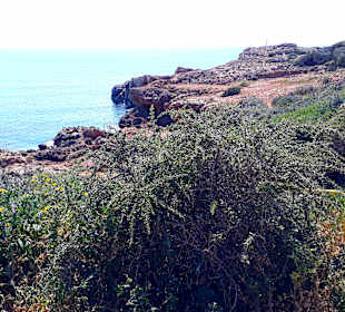 Nationalpark Kap Greco