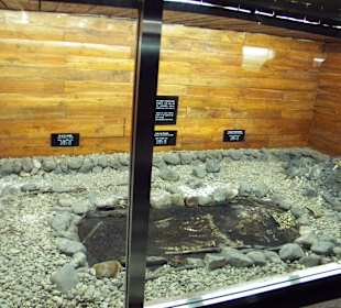 Tumuli Park - inside “Heavenly Horse Tomb”