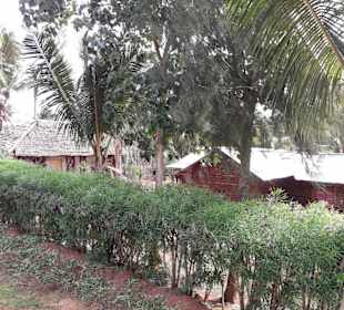 Erste Häuser im Busch