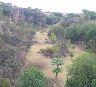 Le canions de la réserve des tortues