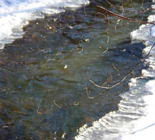 Der Stausee im Winter ein Traum