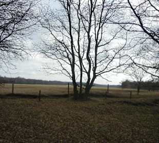 Naturschutzgebiet Boberger Niederung