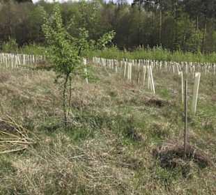 Wanderweg Firstwaldrunde