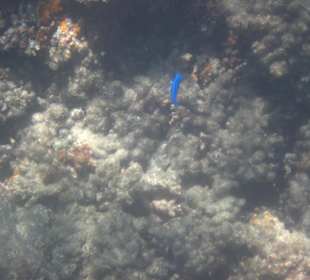 Underwater