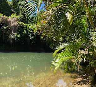 Stadtrundfahrt Bavaro