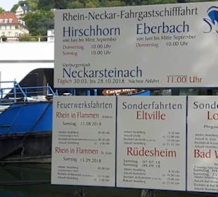 Weisse Flotte Heidelberg 